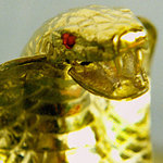 Cobra Crown, closeup, open