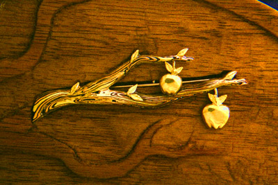 Mokume Apple Bough Pin, detail