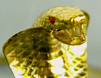 Cobra Crown, closeup, open